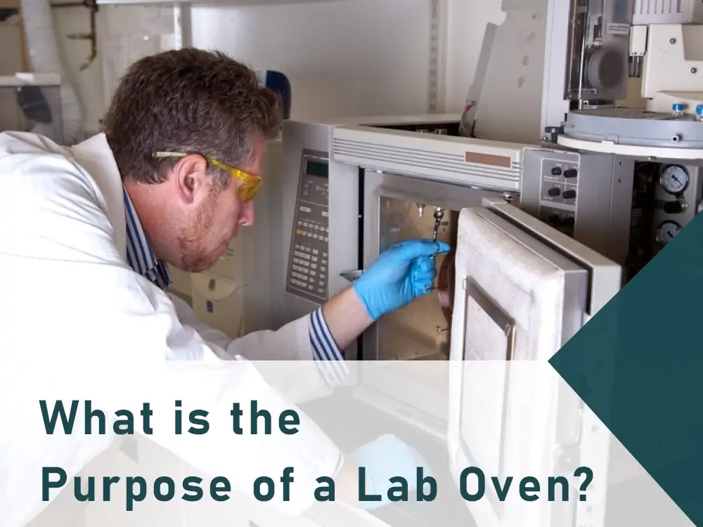 What is the Purpose of a Lab Oven